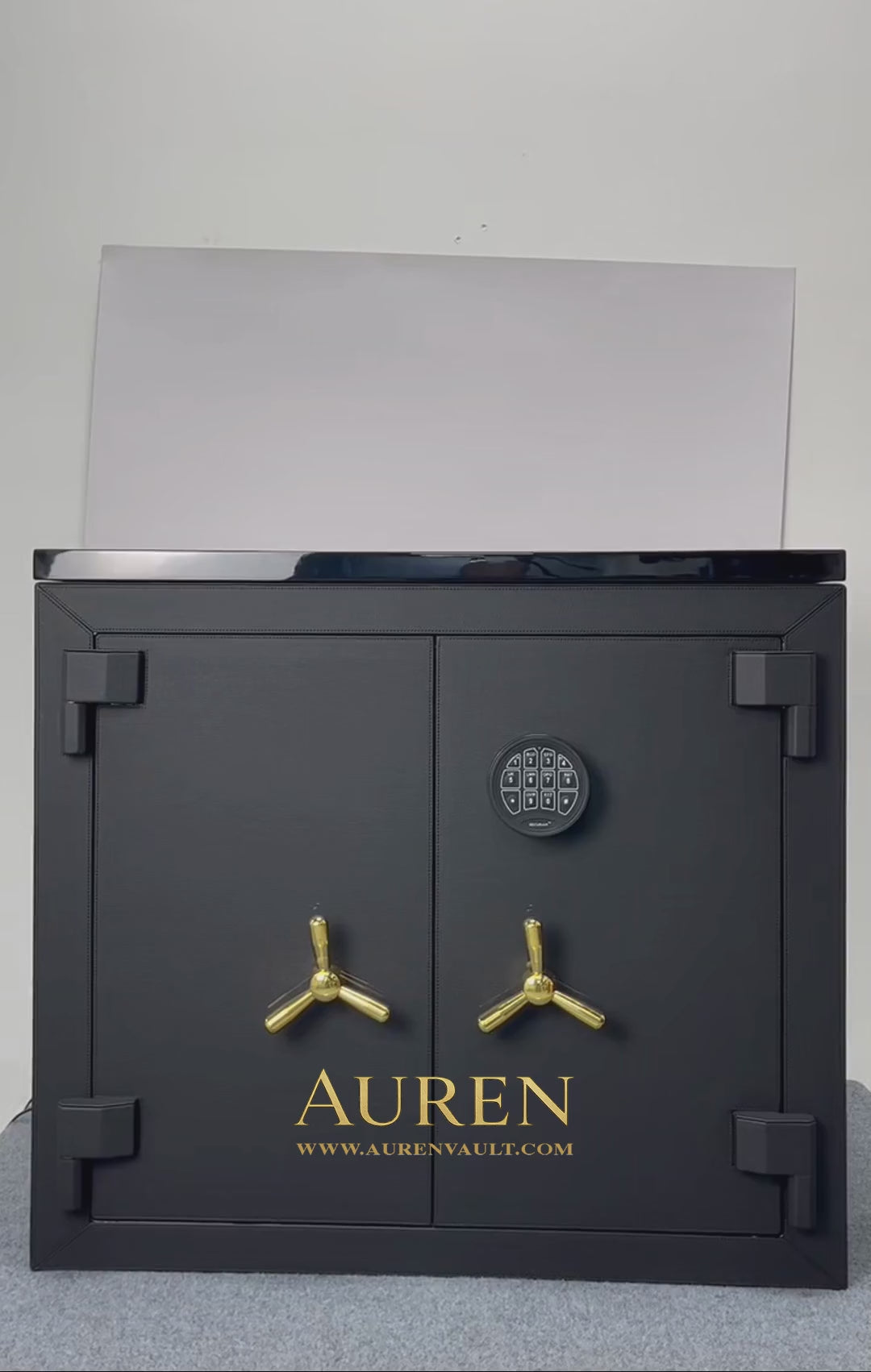 Kingston Watch Safe Video