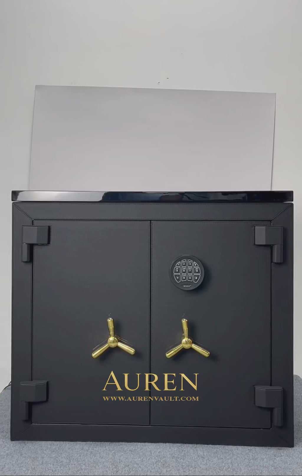 Kingston Watch Safe Video